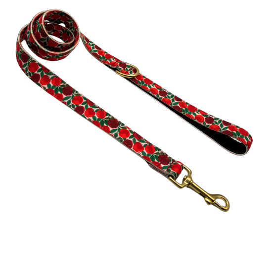 CORREA PARA PERRO RUBY