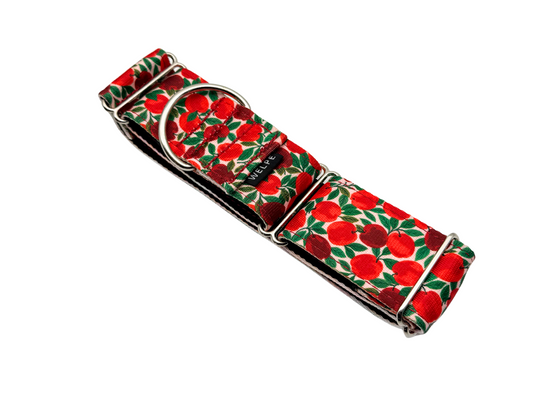 COLLAR MARTINGALE RUBY