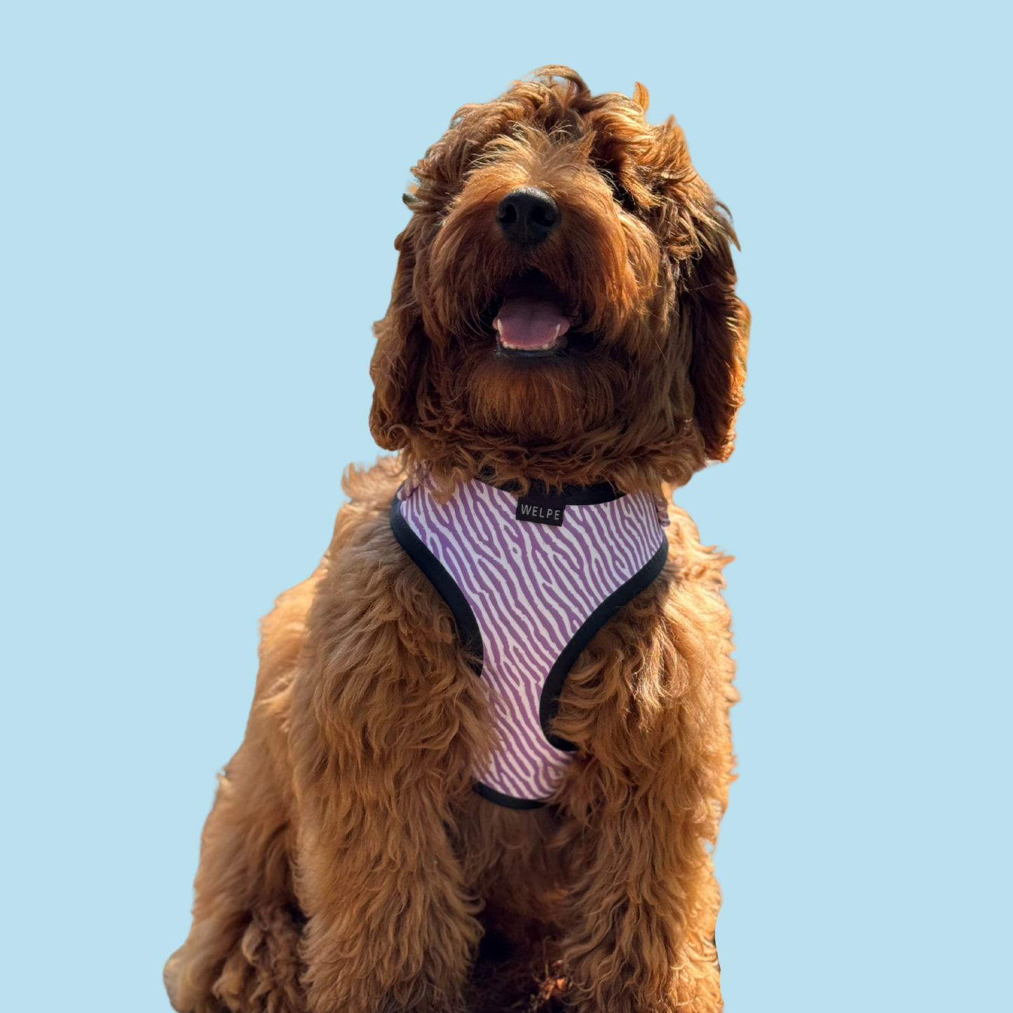 1.png__PID:b9ed08f1-980f-4ef1-85ce-20a0ef328bbe