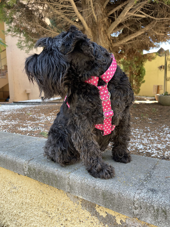 ARNÉS PARA PERRO ROSA TOPOS