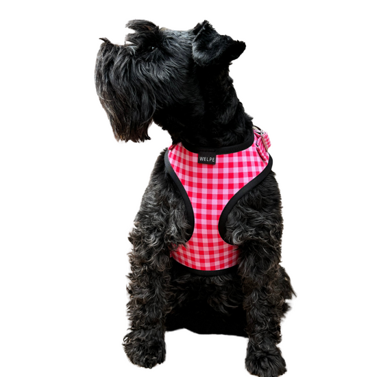 ARNÉS AJUSTABLE PARA PERRO VICHY FUCSIA