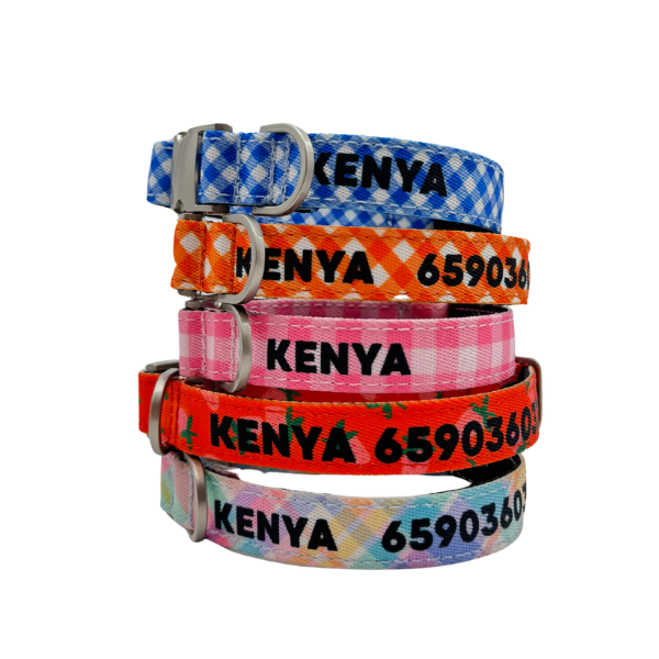 COLLAR PARA PERRO ESTAMPADO IDENTIFICATIVO