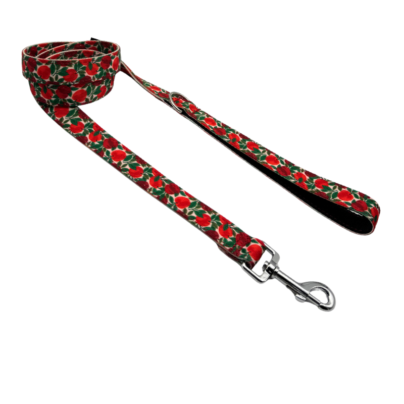 CORREA PARA PERRO RUBY