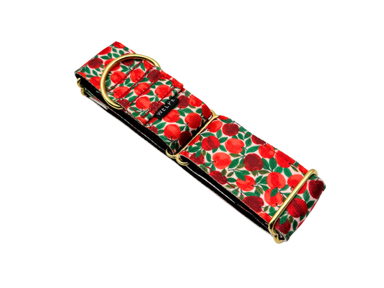 COLLAR MARTINGALE RUBY