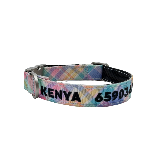 COLLAR PARA PERRO ESTAMPADO IDENTIFICATIVO