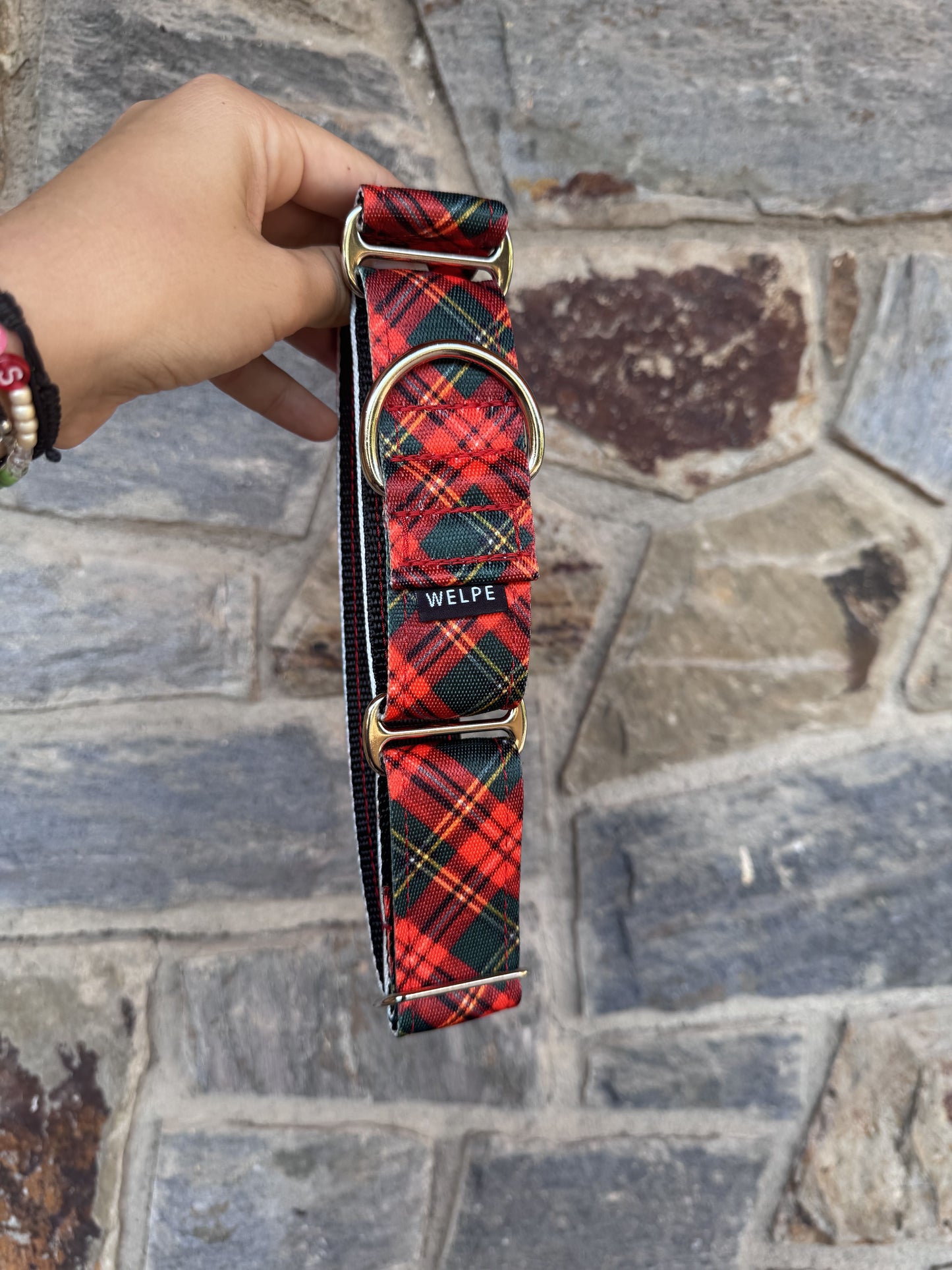 COLLAR MARTINGALE TARTAN