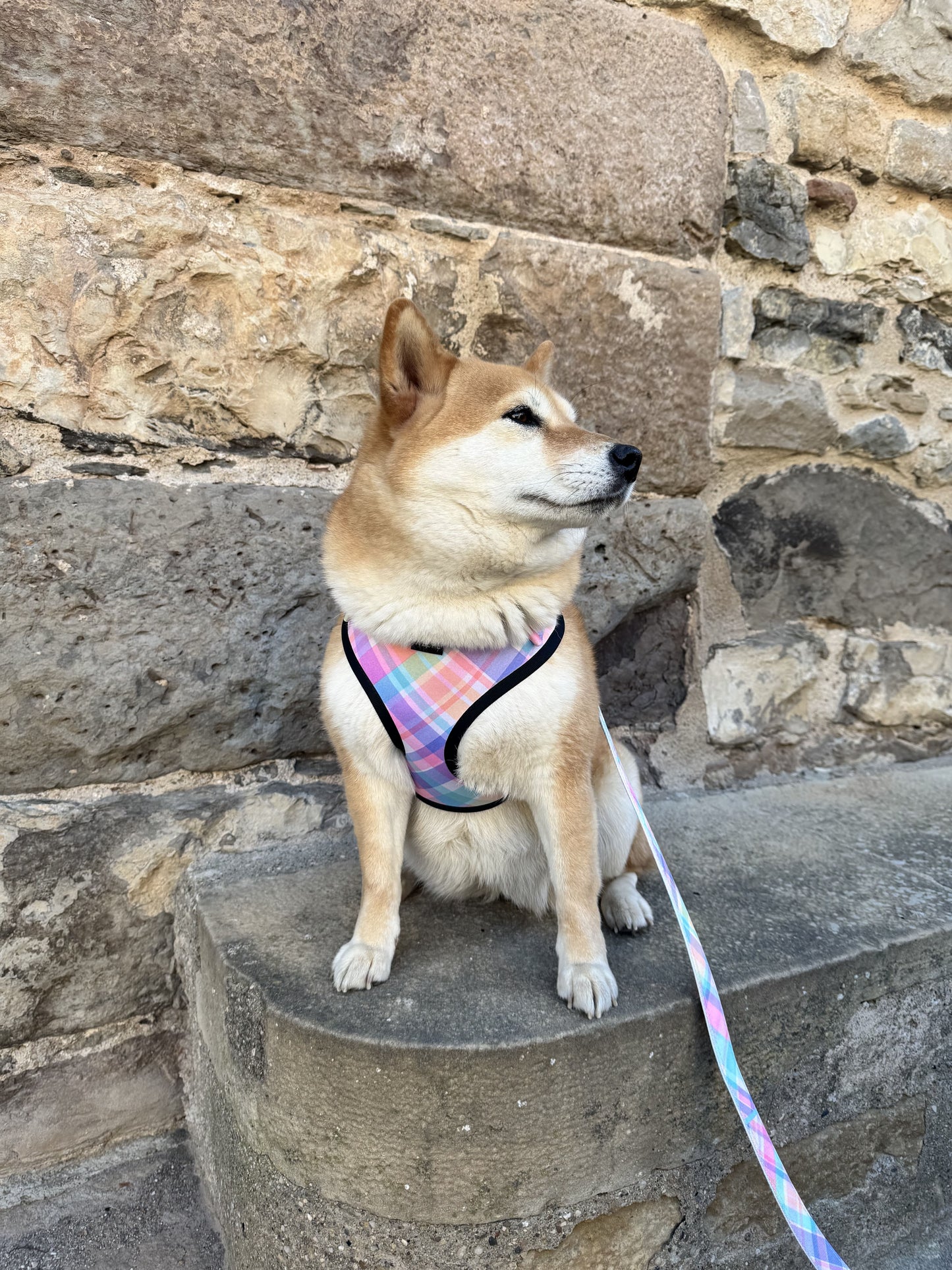 ARNÉS AJUSTABLE PARA PERRO CANDY