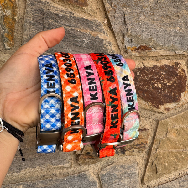 COLLAR PARA PERRO ESTAMPADO IDENTIFICATIVO