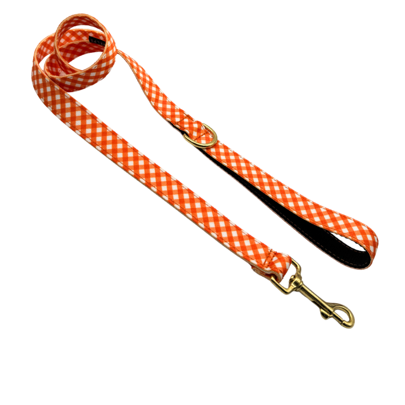 CORREA PARA PERRO CITRUS