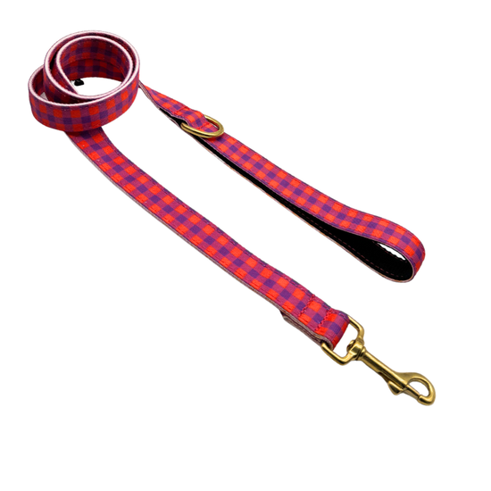 CORREA PARA PERRO BERRY