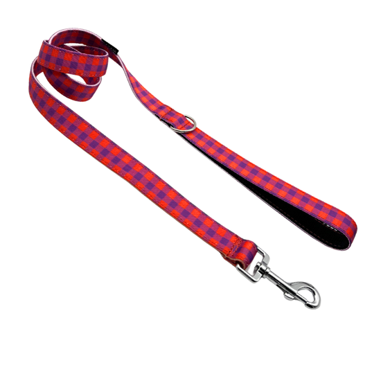 CORREA PARA PERRO BERRY