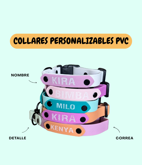 COLLAR WATERPROOF PERSONALIZADO