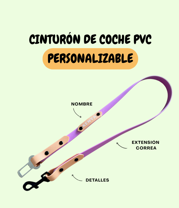 CINTURÓN DE COCHE WATERPROOF PERSONALIZABLE