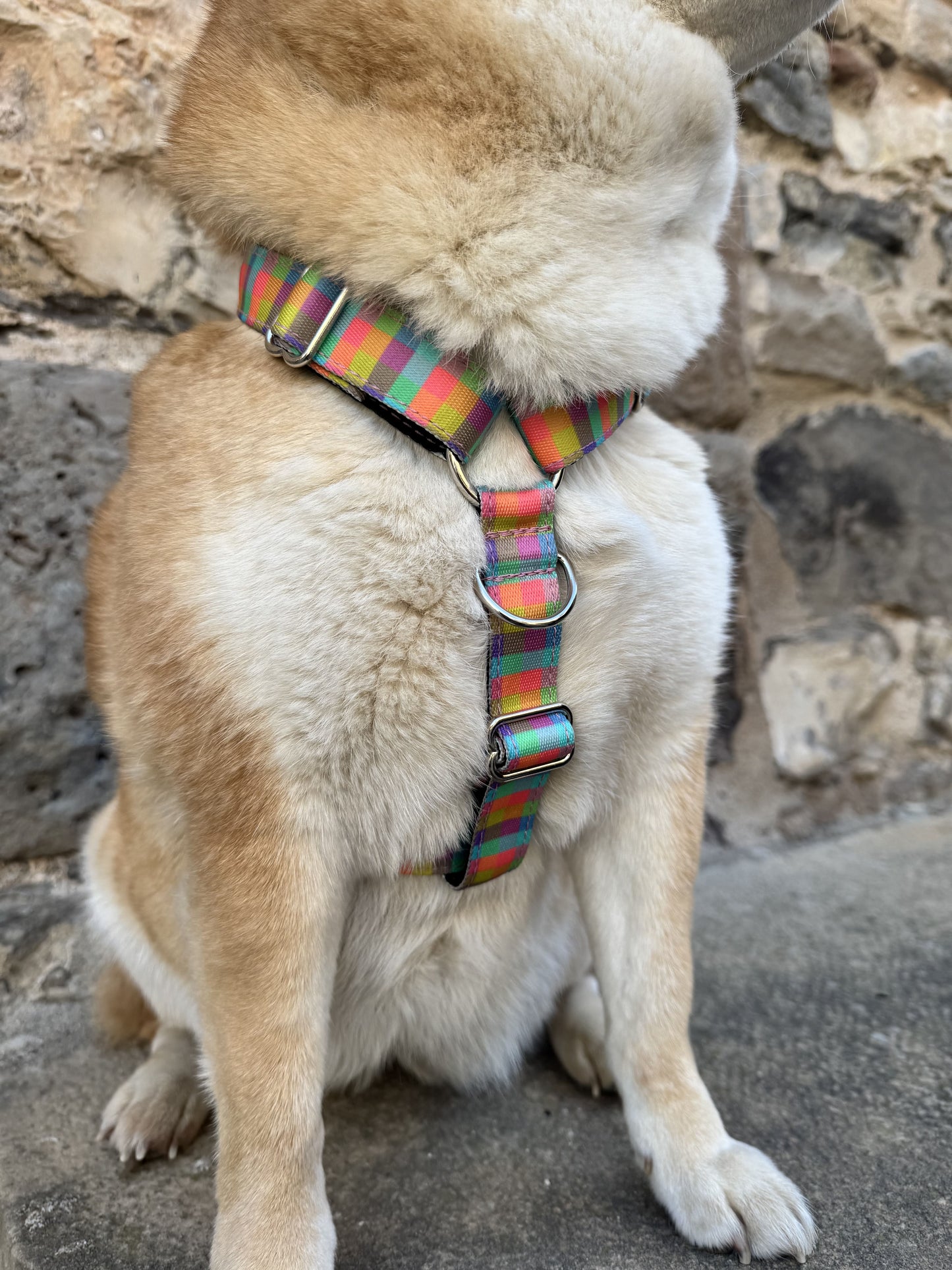 ARNÉS PARA PERRO VICHY MULTICOLOR