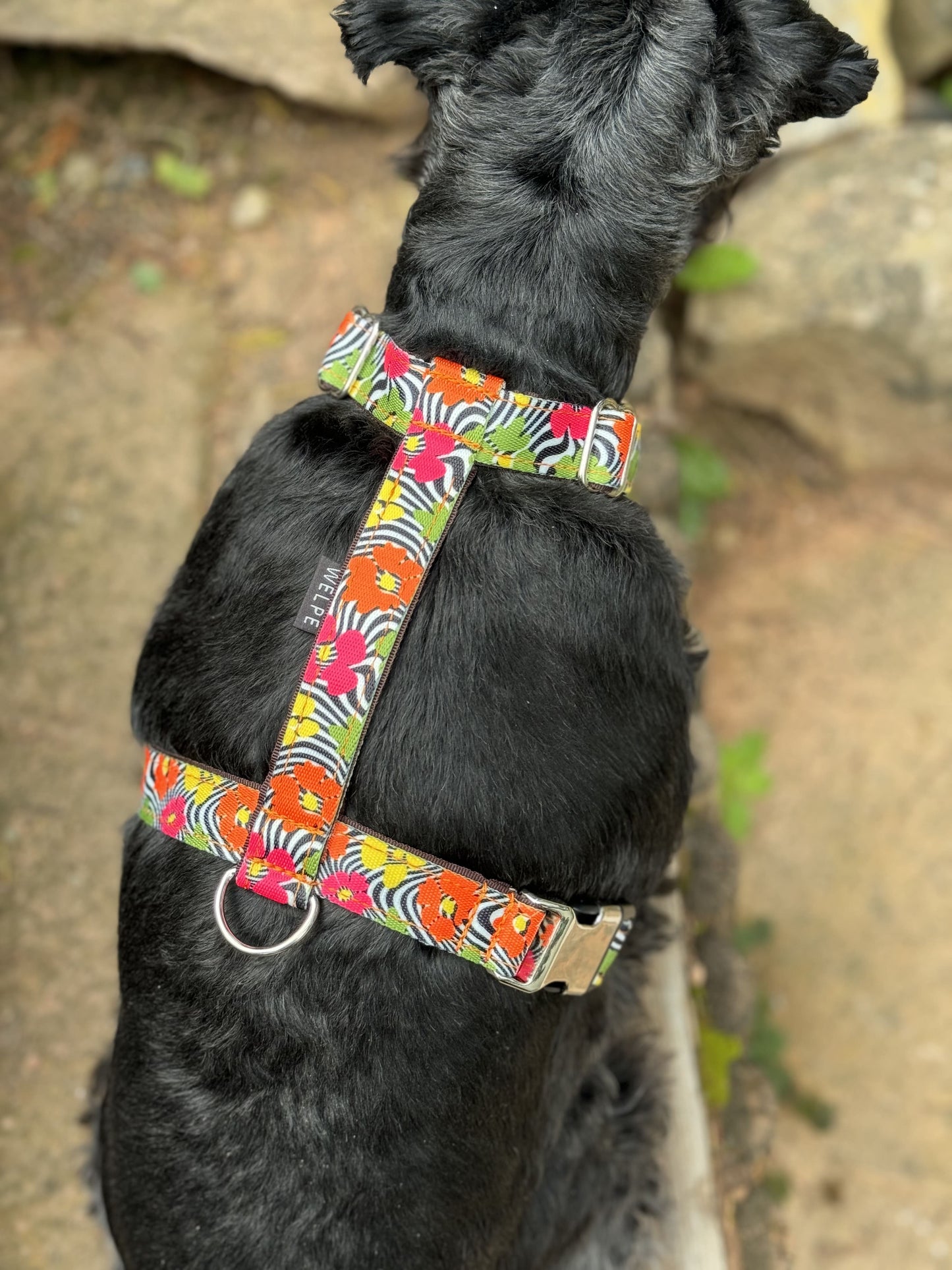 ARNÉS PARA PERRO NAMAQUALAND