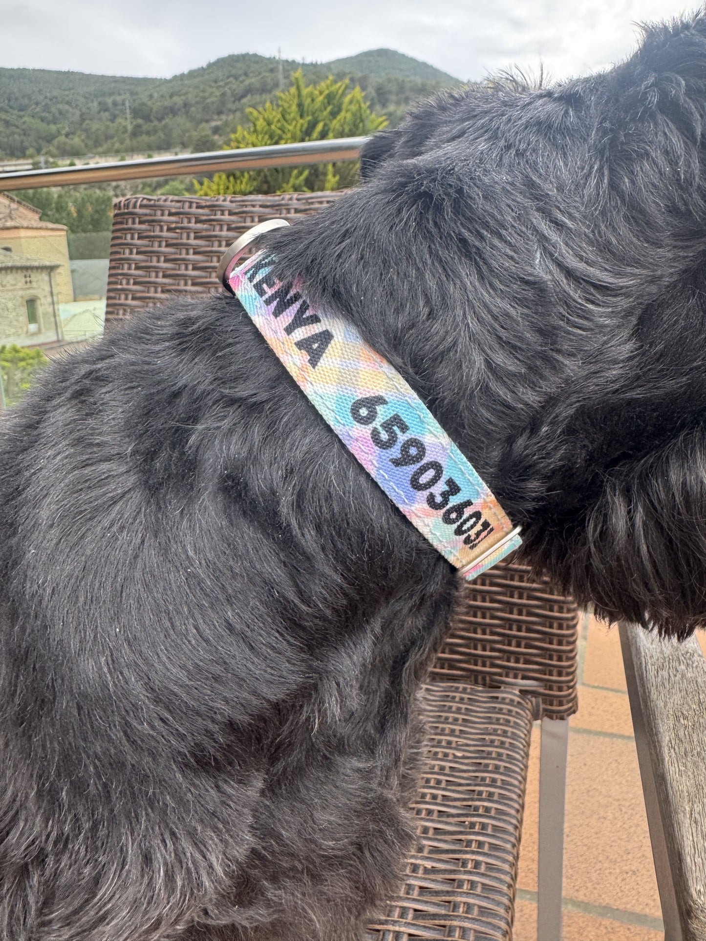 COLLAR PARA PERRO ESTAMPADO IDENTIFICATIVO