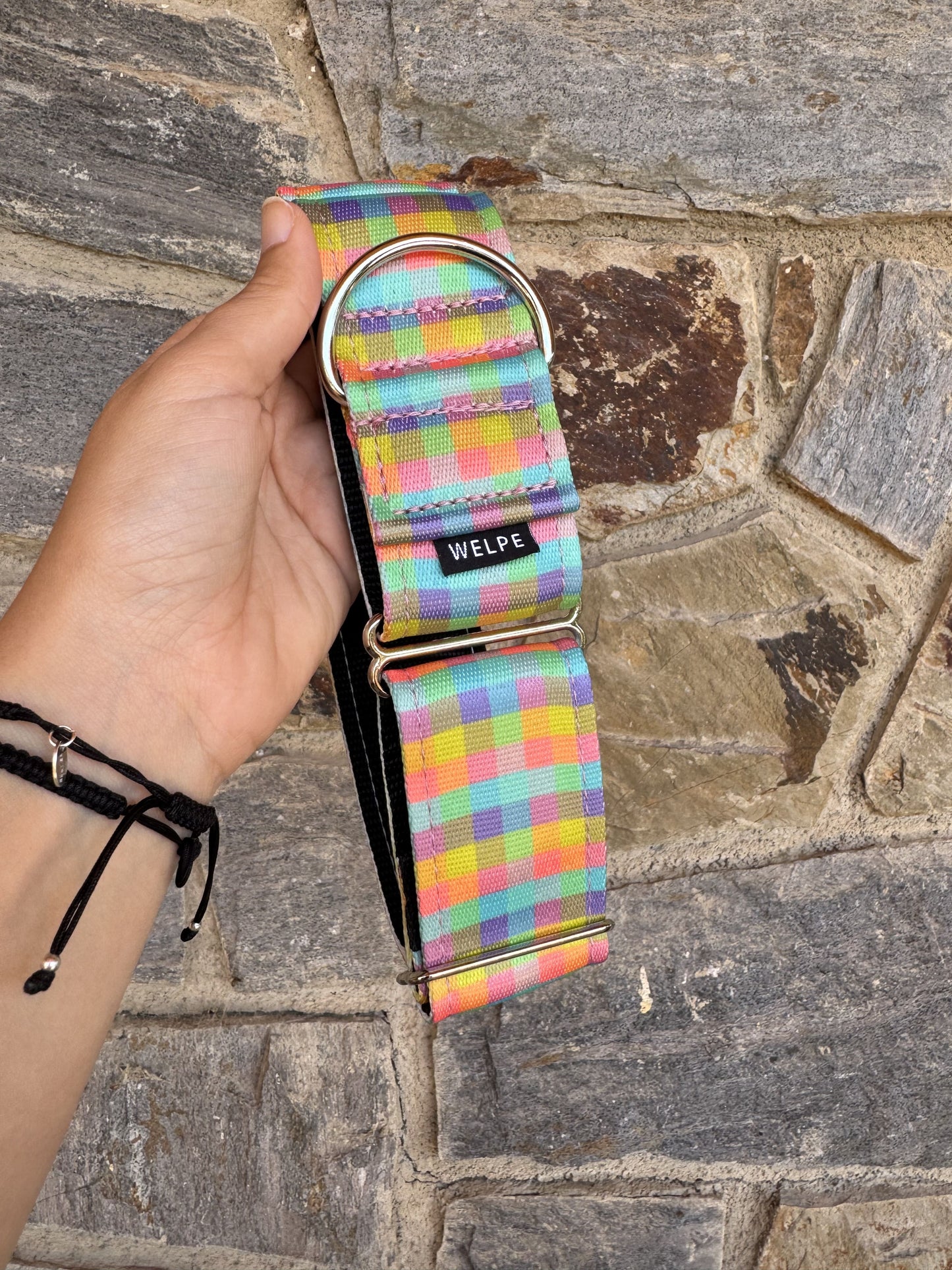 COLLAR MARTINGALE VICHY MUTLICOLOR