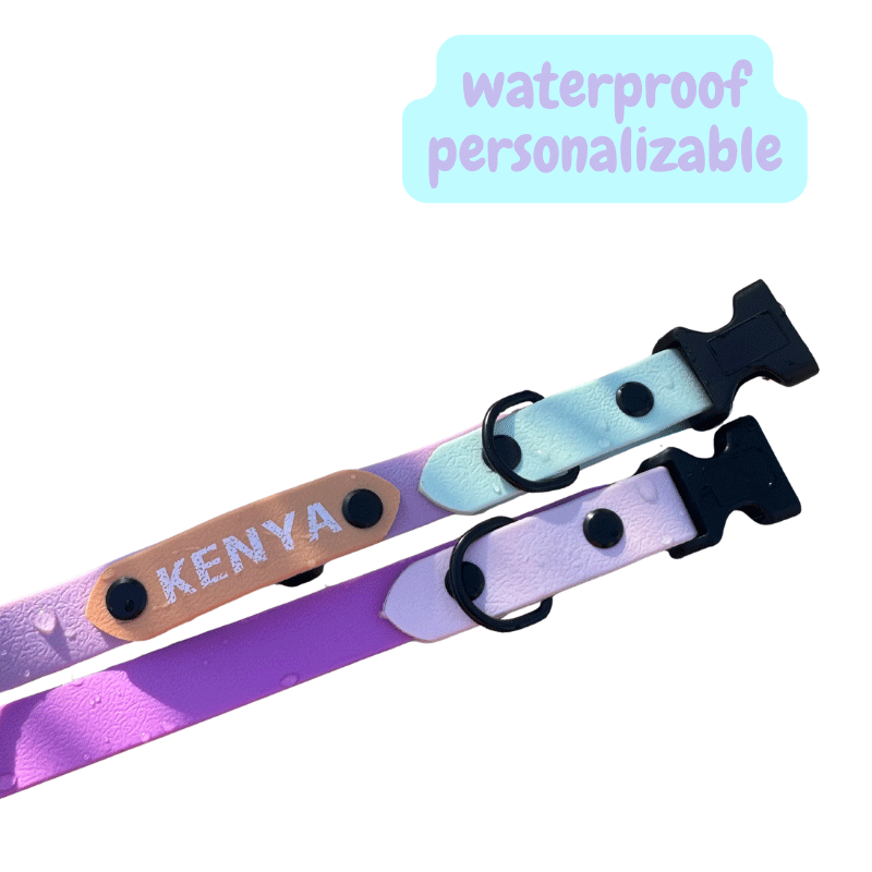 COLLAR WATERPROOF PERSONALIZADO