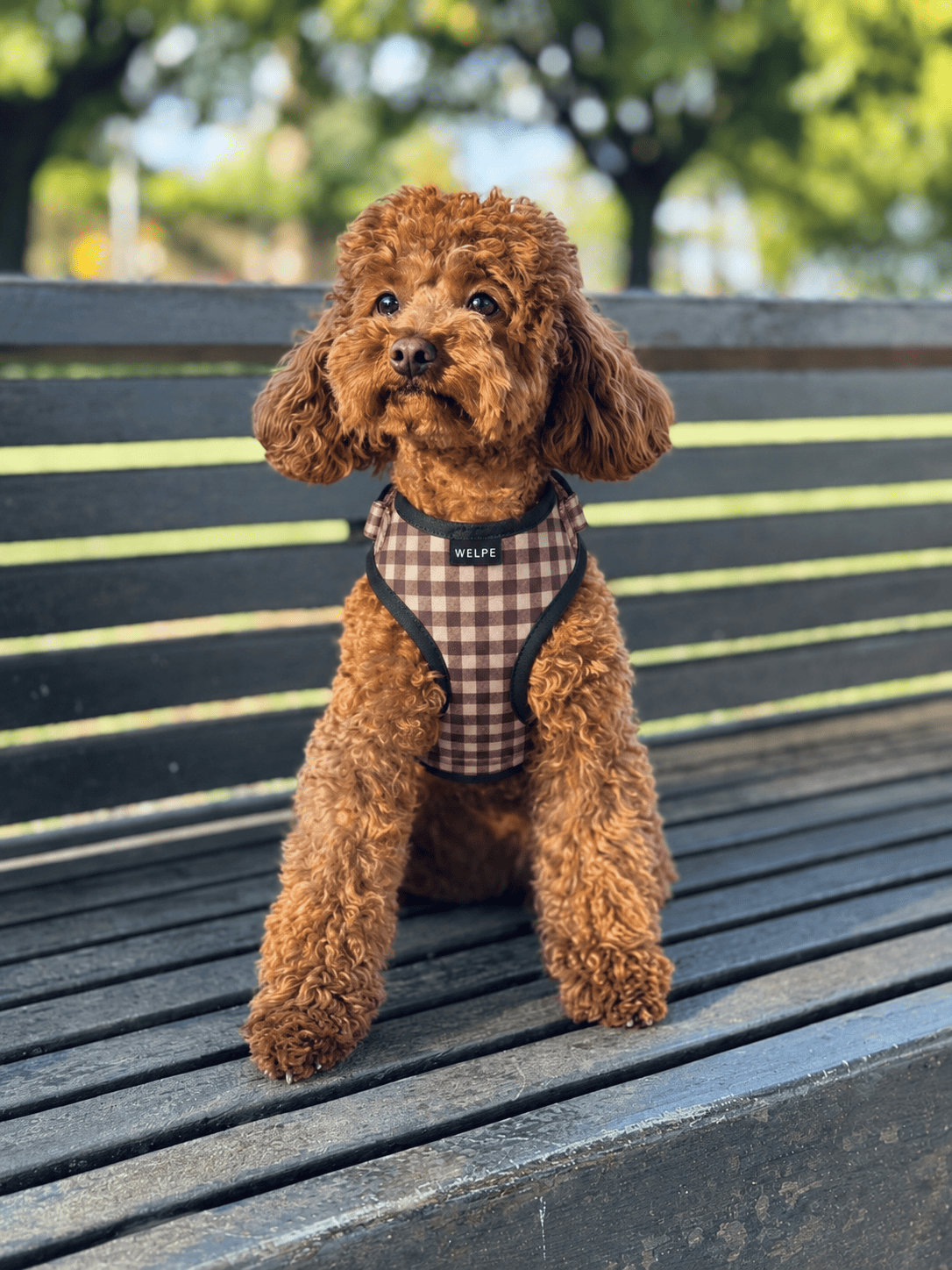 ARNÉS AJUSTABLE PARA PERRO VICHY MARRÓN