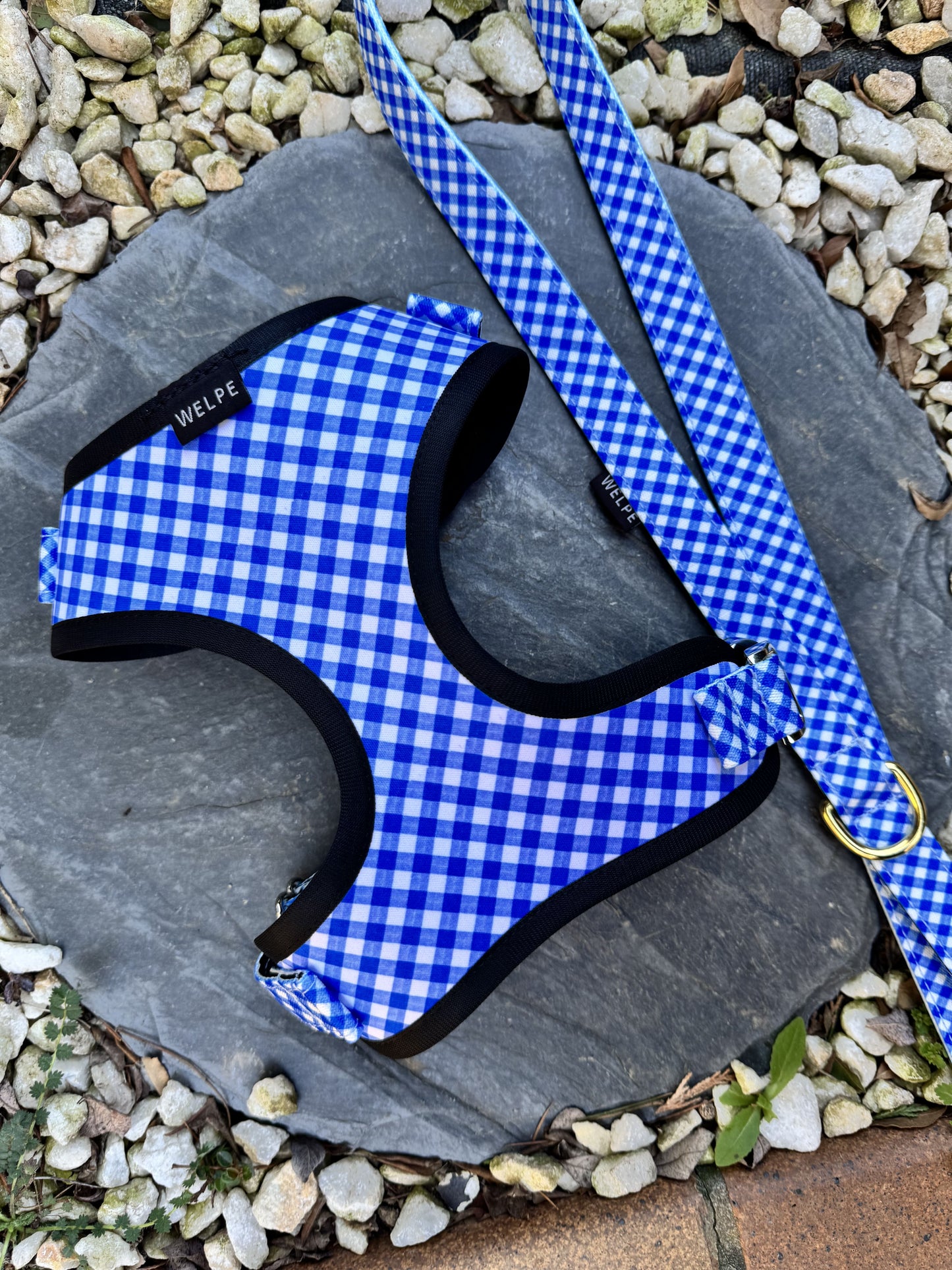 ARNÉS AJUSTABLE PARA PERRO CAPRI