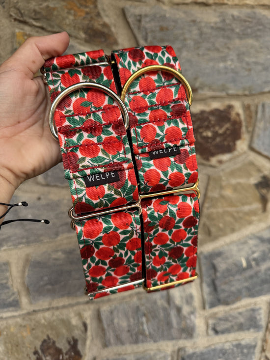 COLLAR MARTINGALE RUBY