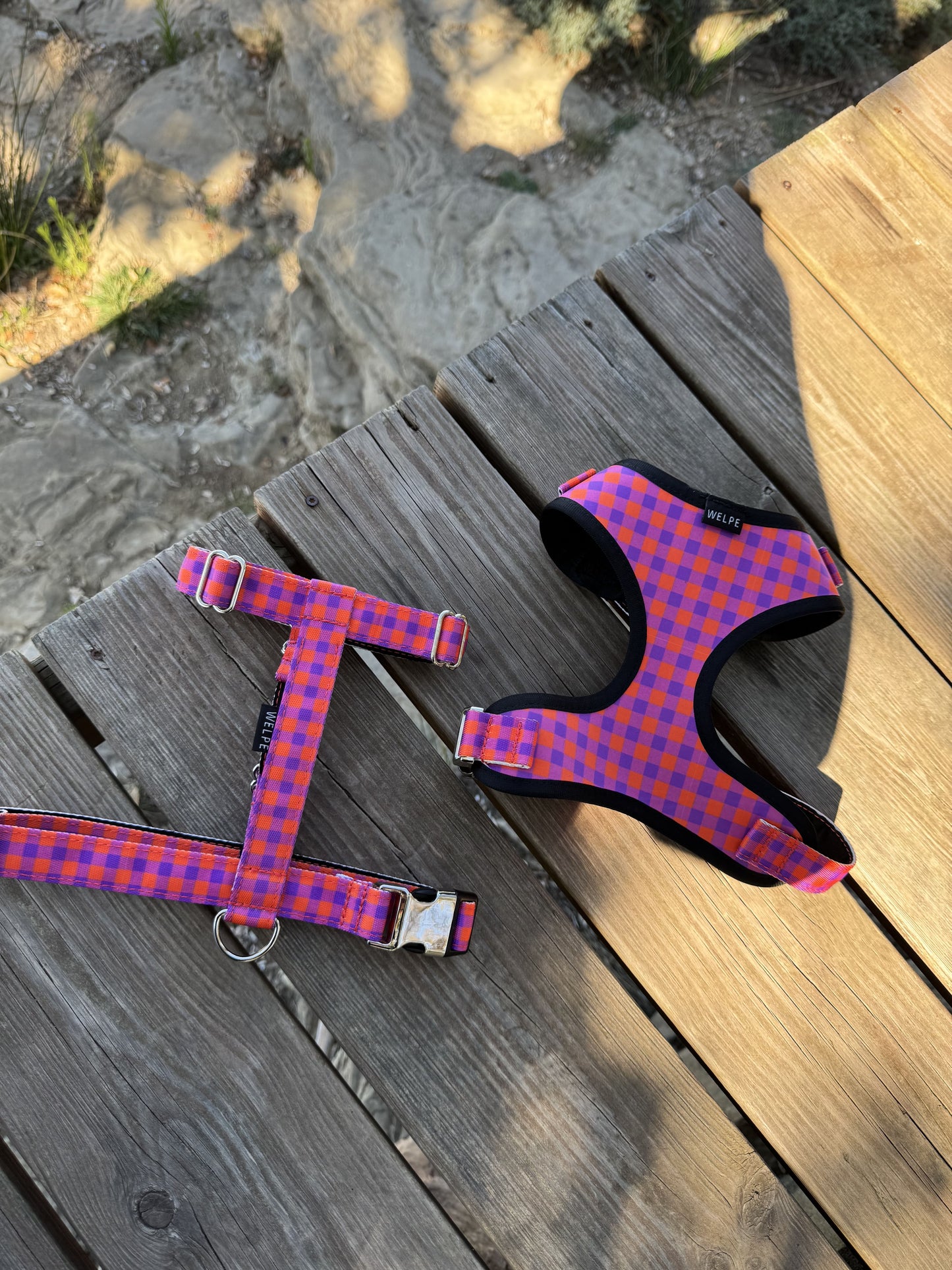 ARNÉS PARA PERRO BERRY