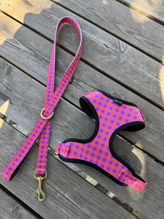 CORREA PARA PERRO BERRY