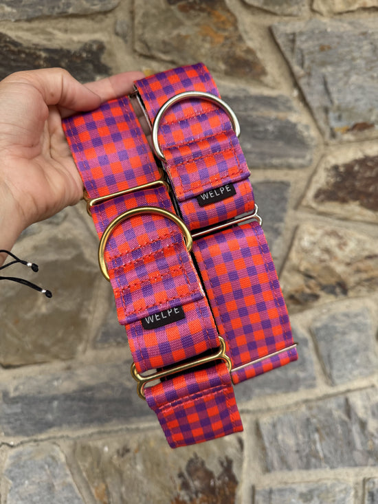 COLLAR MARTINGALE BERRY