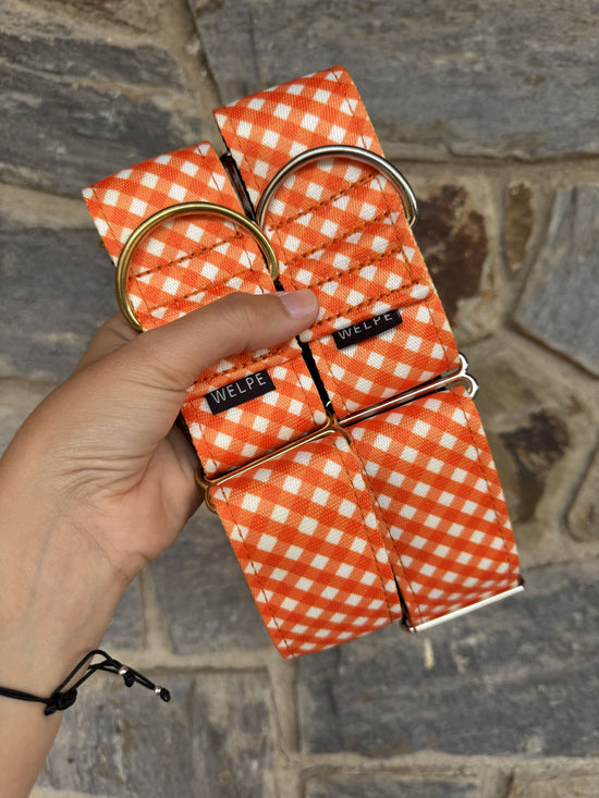 COLLAR MARTINGALE CITRUS