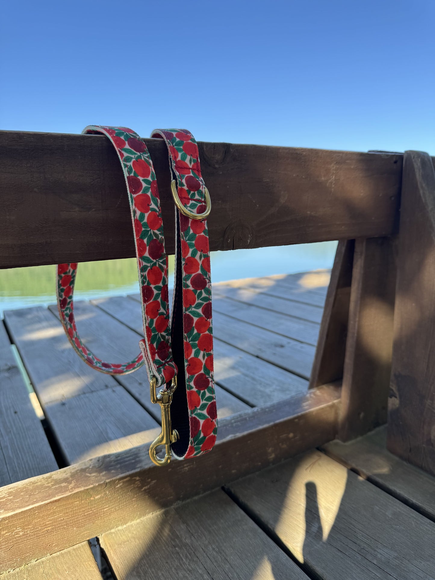 CORREA PARA PERRO RUBY