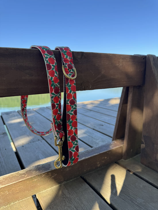 CORREA PARA PERRO RUBY