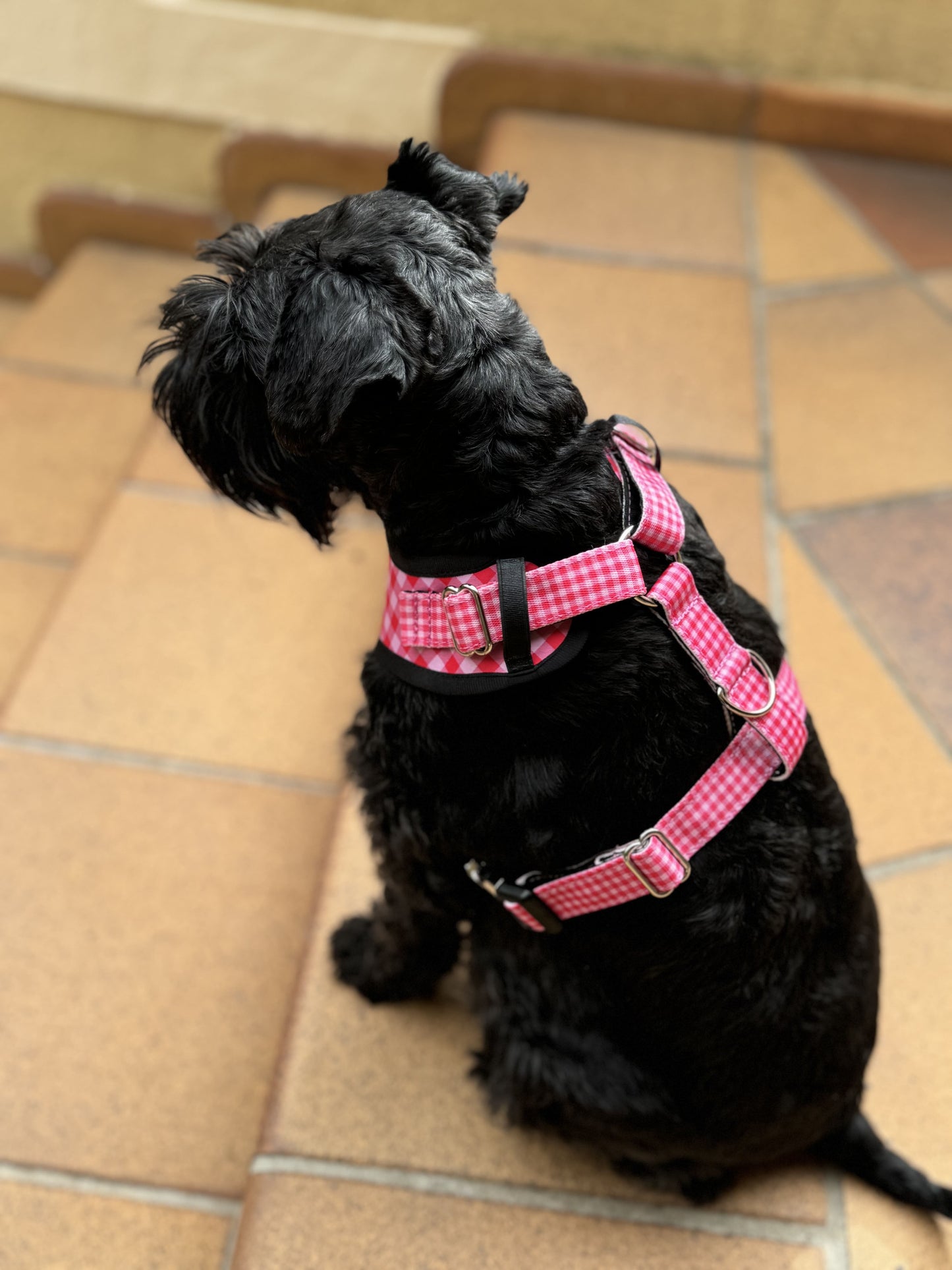 ARNÉS AJUSTABLE PARA PERRO VICHY FUCSIA