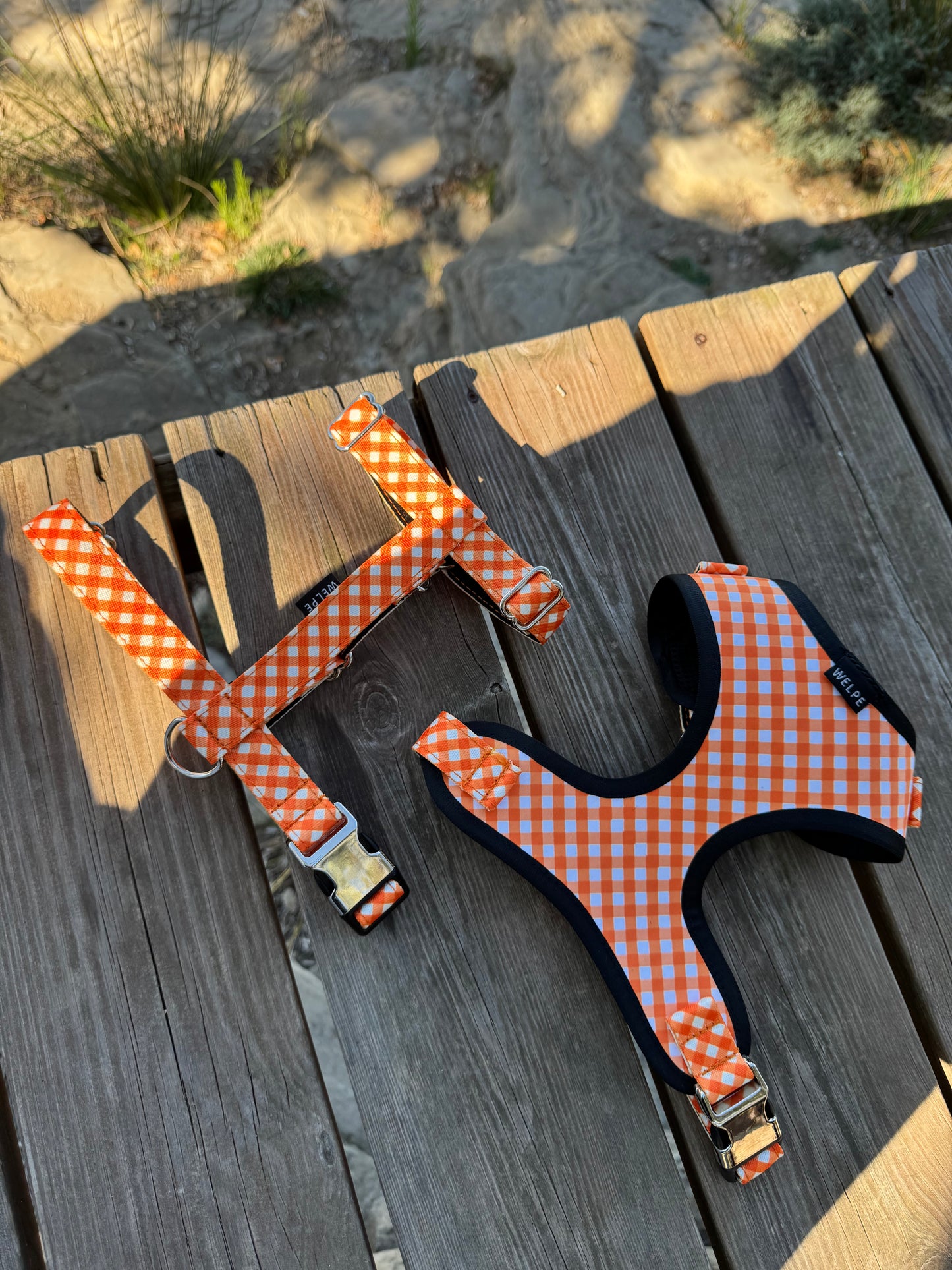 ARNÉS AJUSTABLE PARA PERRO CITRUS