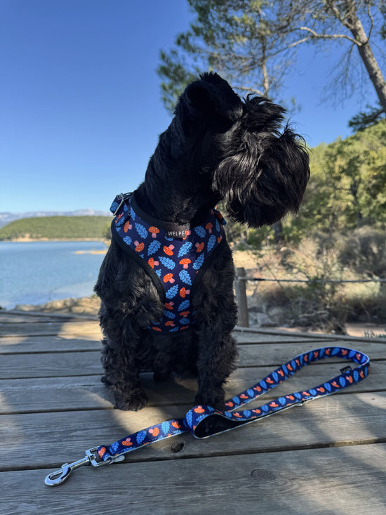ARNÉS AJUSTABLE PARA PERRO SHROOM
