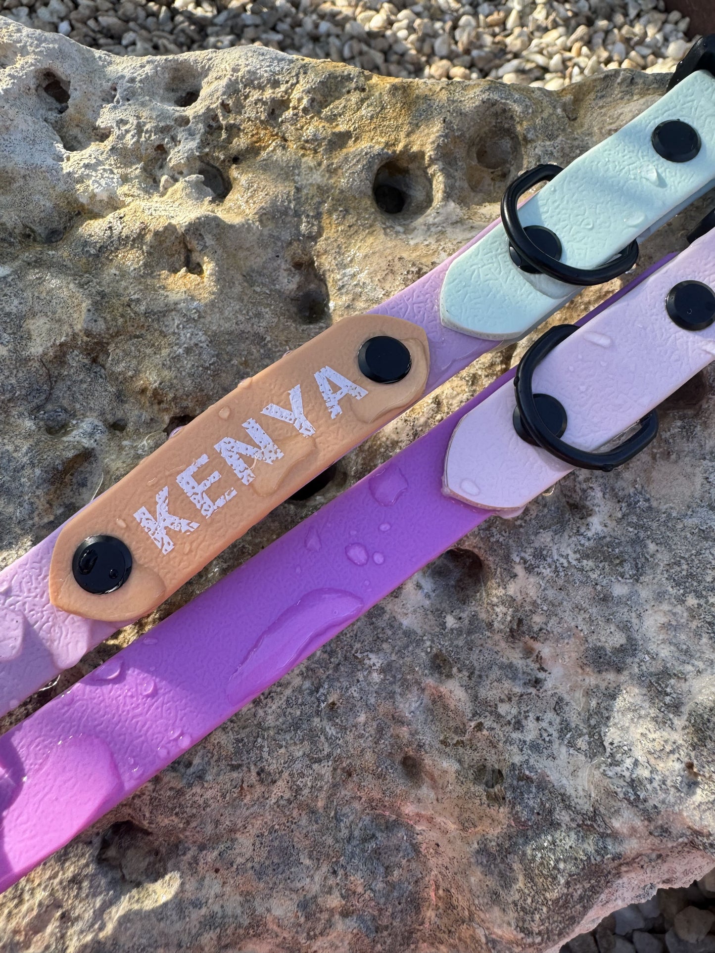 COLLAR WATERPROOF PERSONALIZADO
