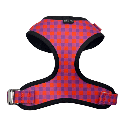 ARNÉS AJUSTABLE PARA PERRO BERRY