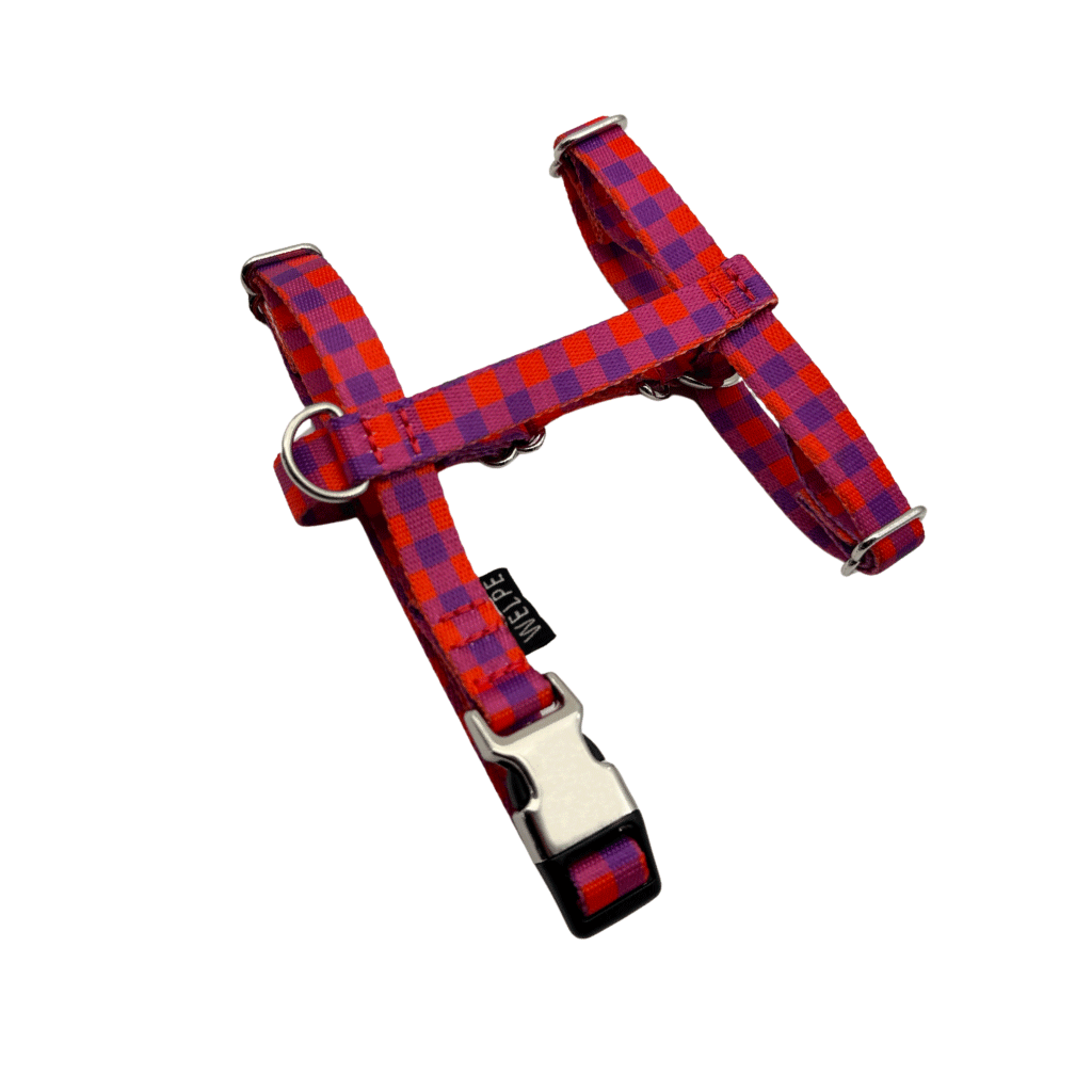 ARNÉS PARA PERRO MINI BERRY