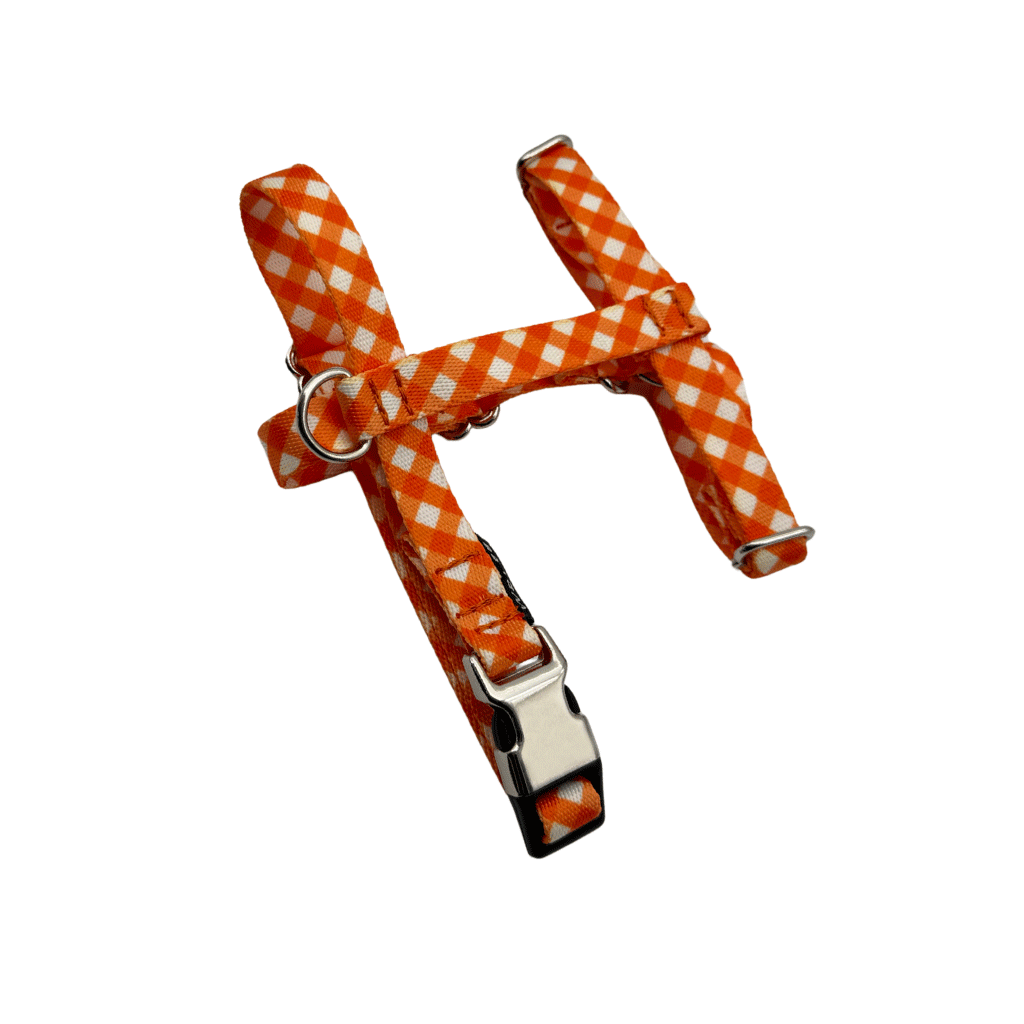 ARNÉS PARA PERRO MINI CIRTUS