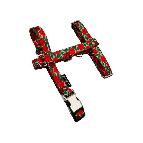 ARNÉS PARA PERRO MINI RUBY