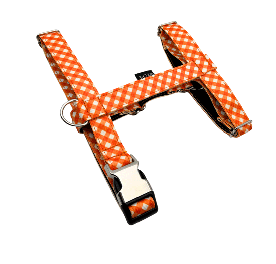 ARNÉS PARA PERRO CITRUS