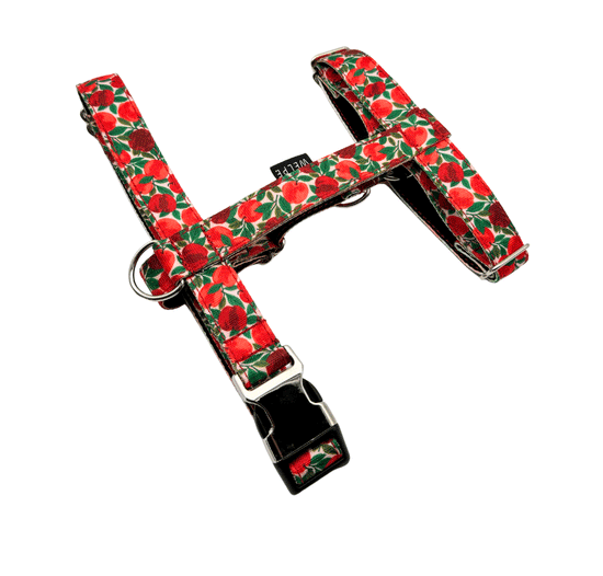 ARNÉS PARA PERRO RUBY