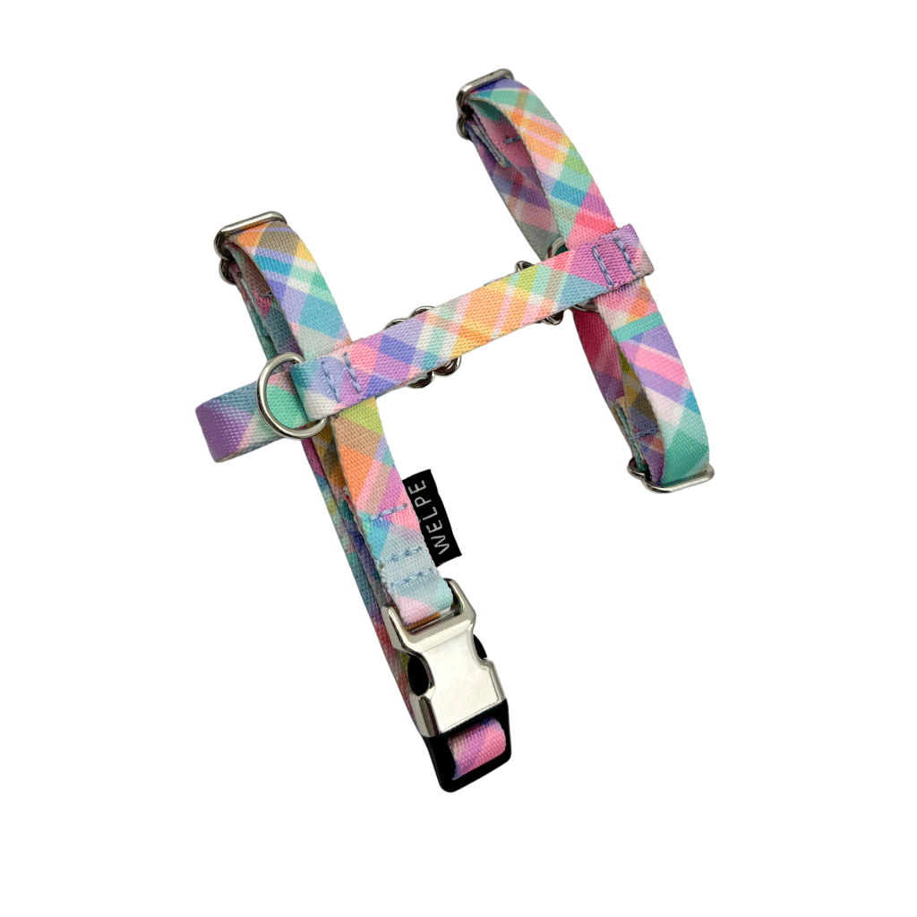 ARNÉS PARA PERRO MINI CANDY