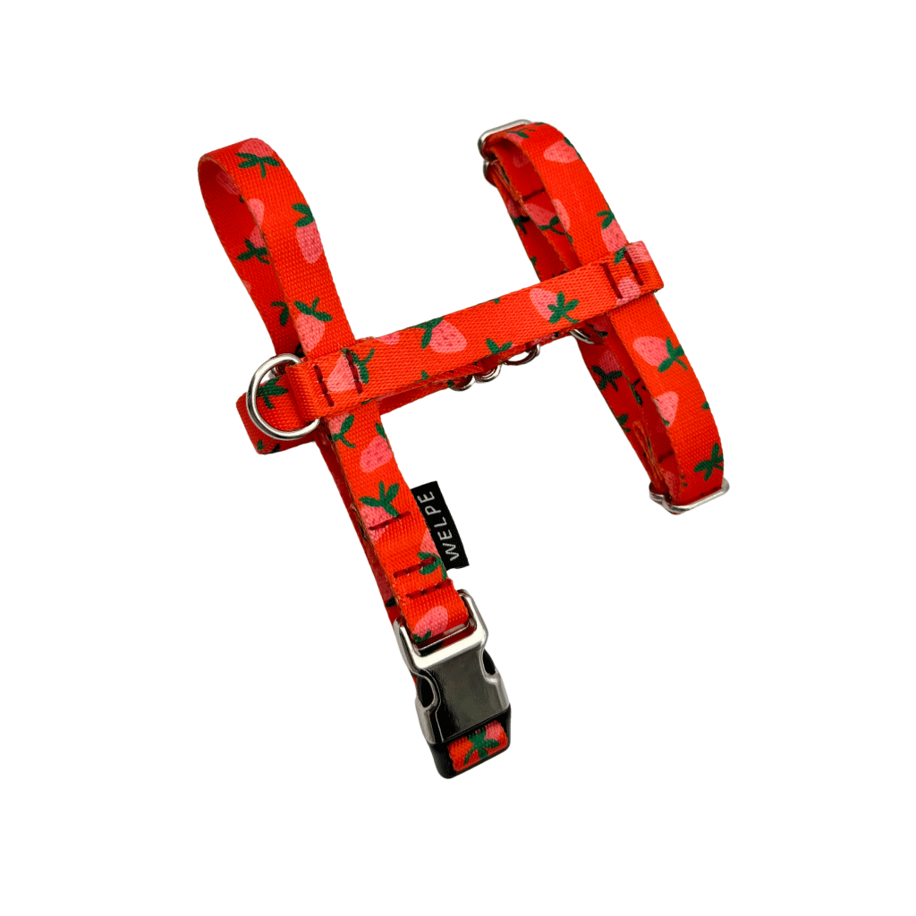 ARNÉS PARA PERRO MINI FARGOLA