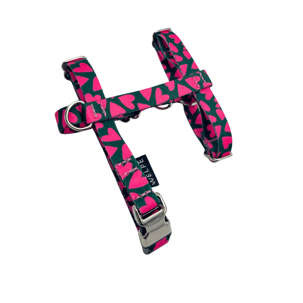 ARNÉS PARA PERRO MINI FRIENZE