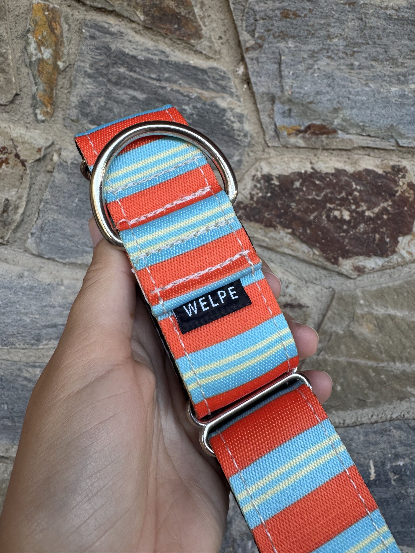 COLLAR MARTINGALE POSITANO