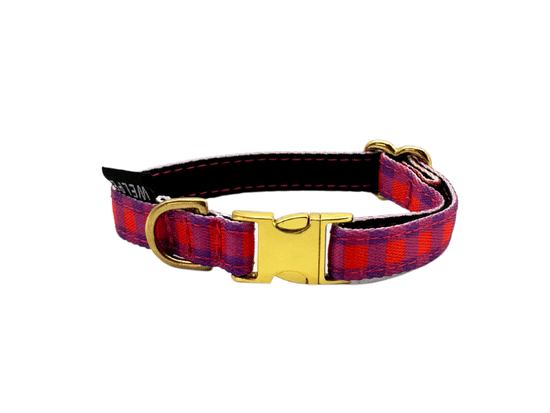 COLLAR PARA PERRO MINI BERRY