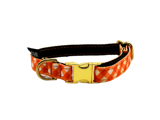 COLLAR PARA PERRO MINI CITRUS