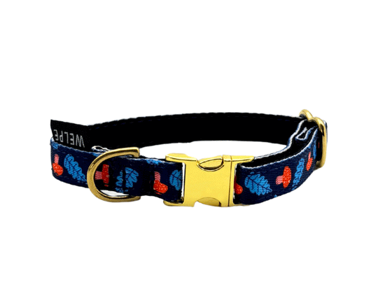 COLLAR PARA PERRO MINI SHROOM