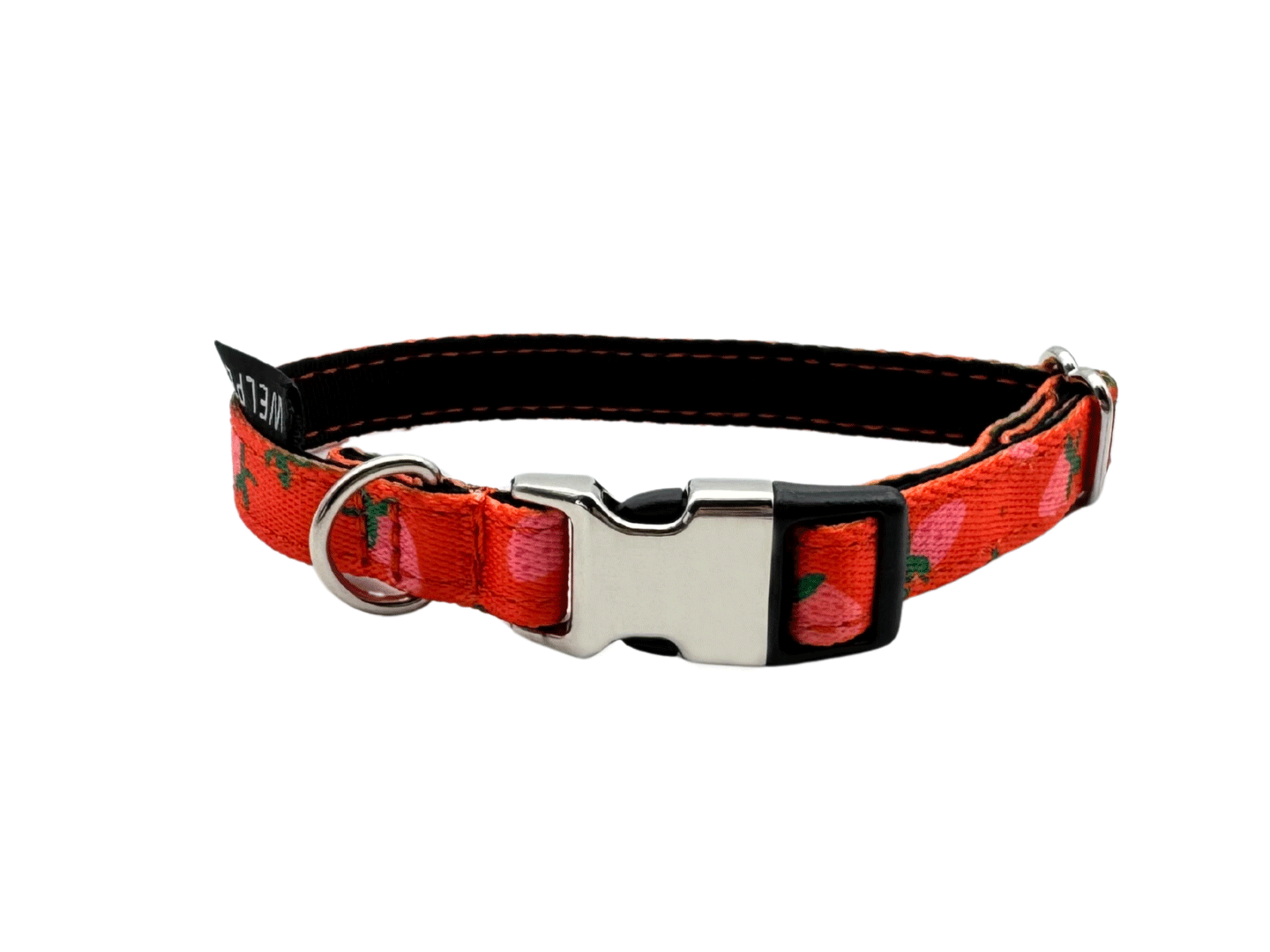 COLLAR PARA PERRO MINI FARGOLA