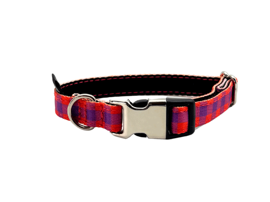 COLLAR PARA PERRO MINI BERRY